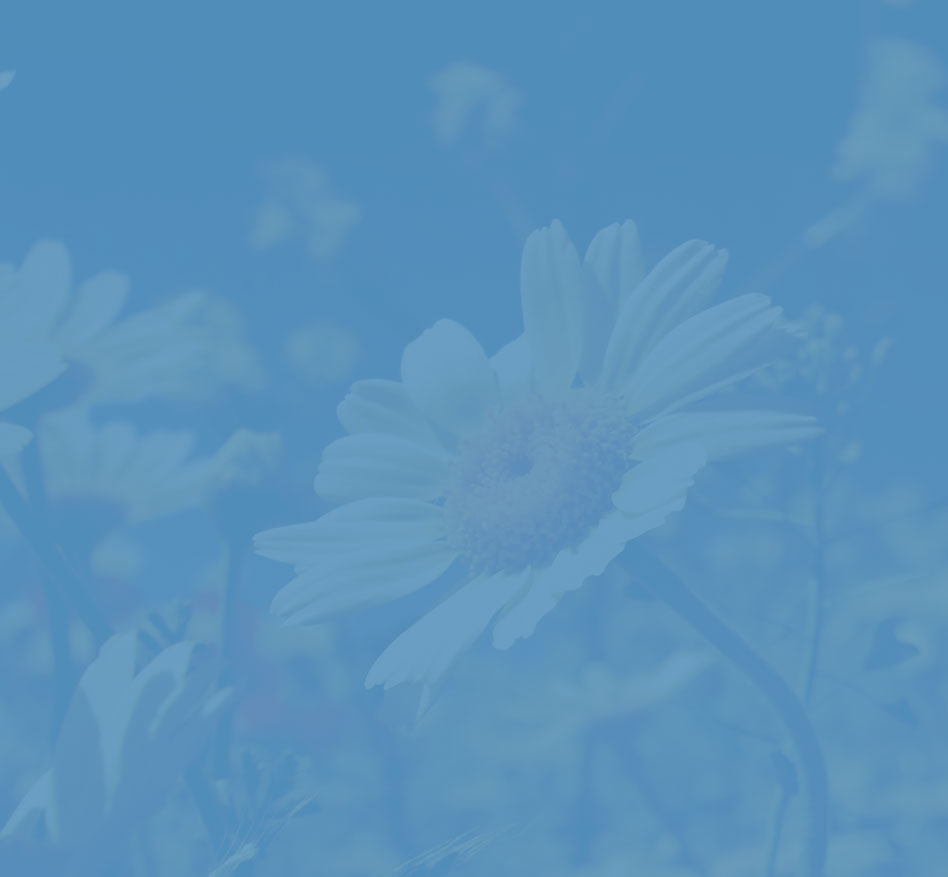 White flowe  r with a green tint over the image